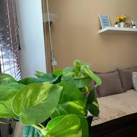 Suncana Dolina * Zlatibor